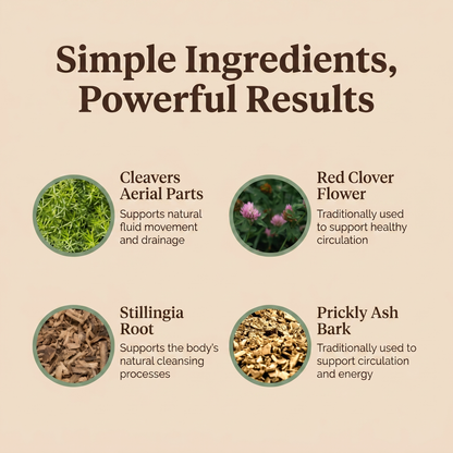 Lymphatic Wellness Drops ByLorai